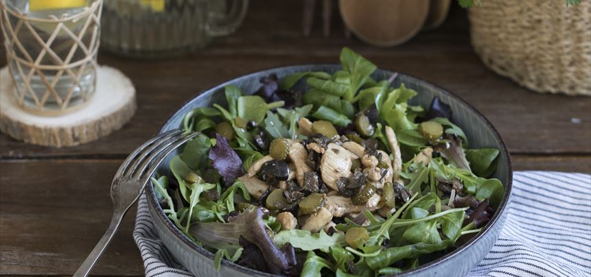Imagen de Pollo a la vinagreta con ensalada