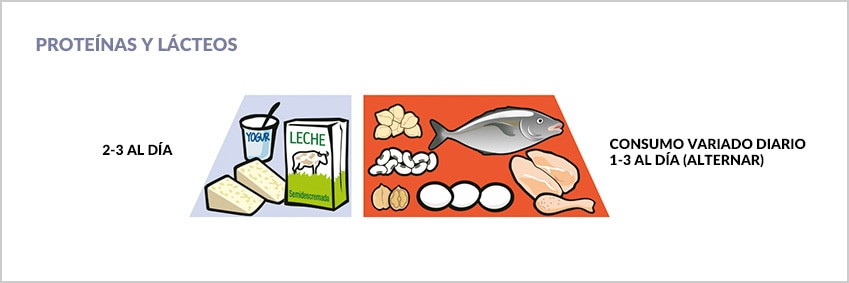 Gráfico del cuarto nivel de la pirámide nutricional